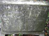 image of grave number 111462